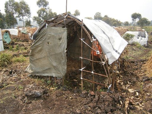 Tenda degli sfollati di Goma (R.d.Congo)